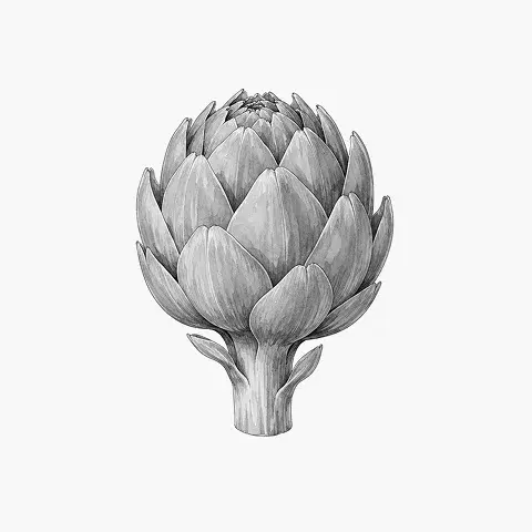 Artichoke