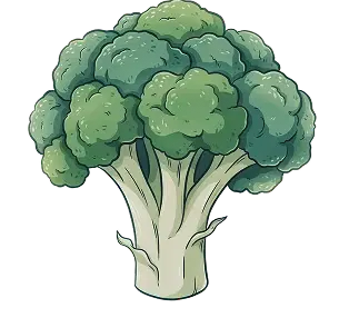 Broccoli