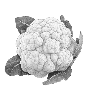 Cauliflower