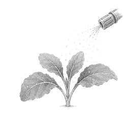 Fertilizing